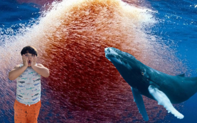 Descubriendo el Fascinante Mundo de las Ballenas